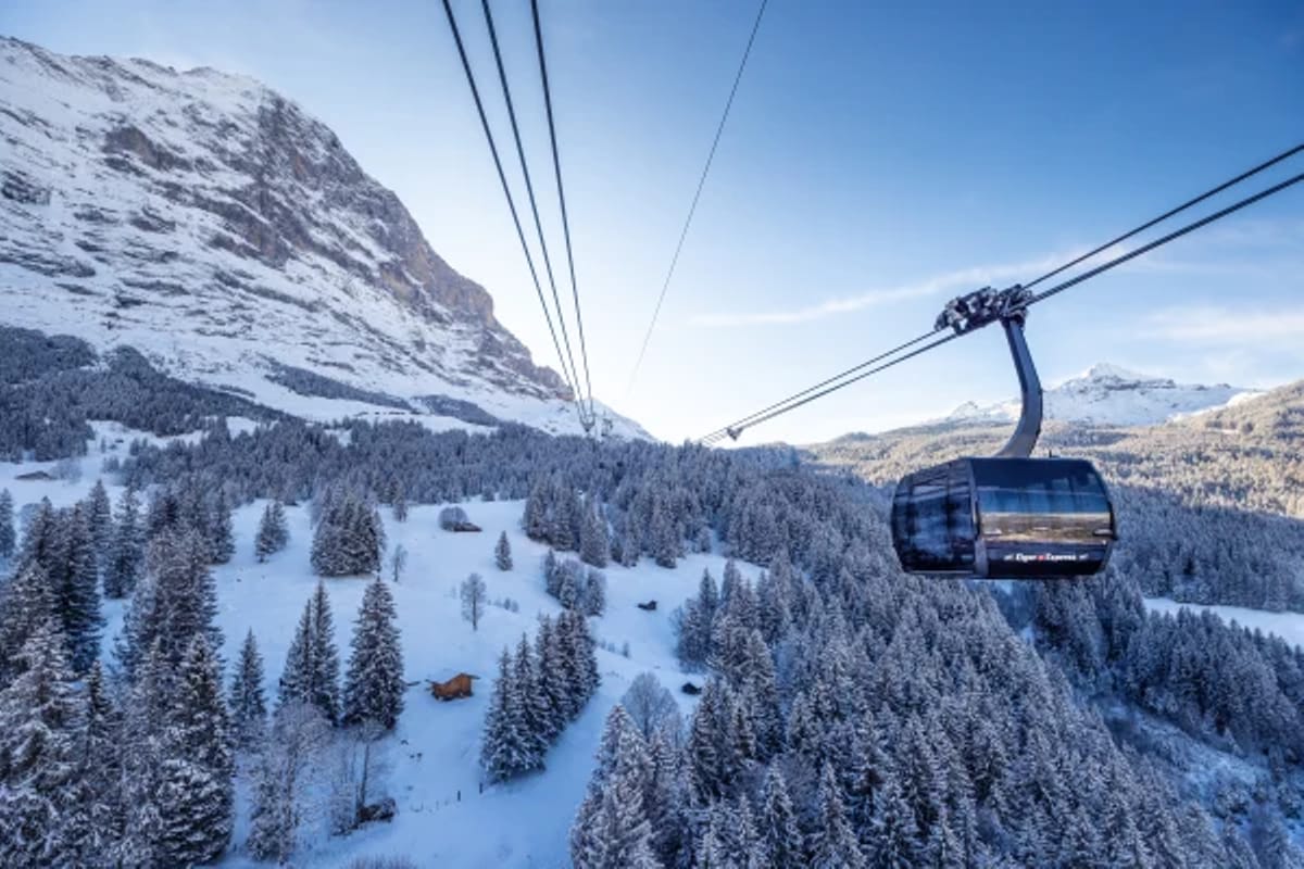 Sledging pass Jungfrau Region for 1 to 7 days