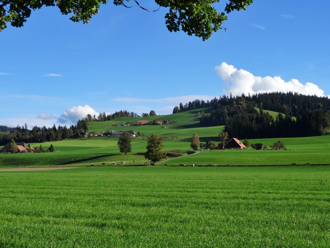 Bahnticket zwischen Bern und Luzern durch das Emmental  