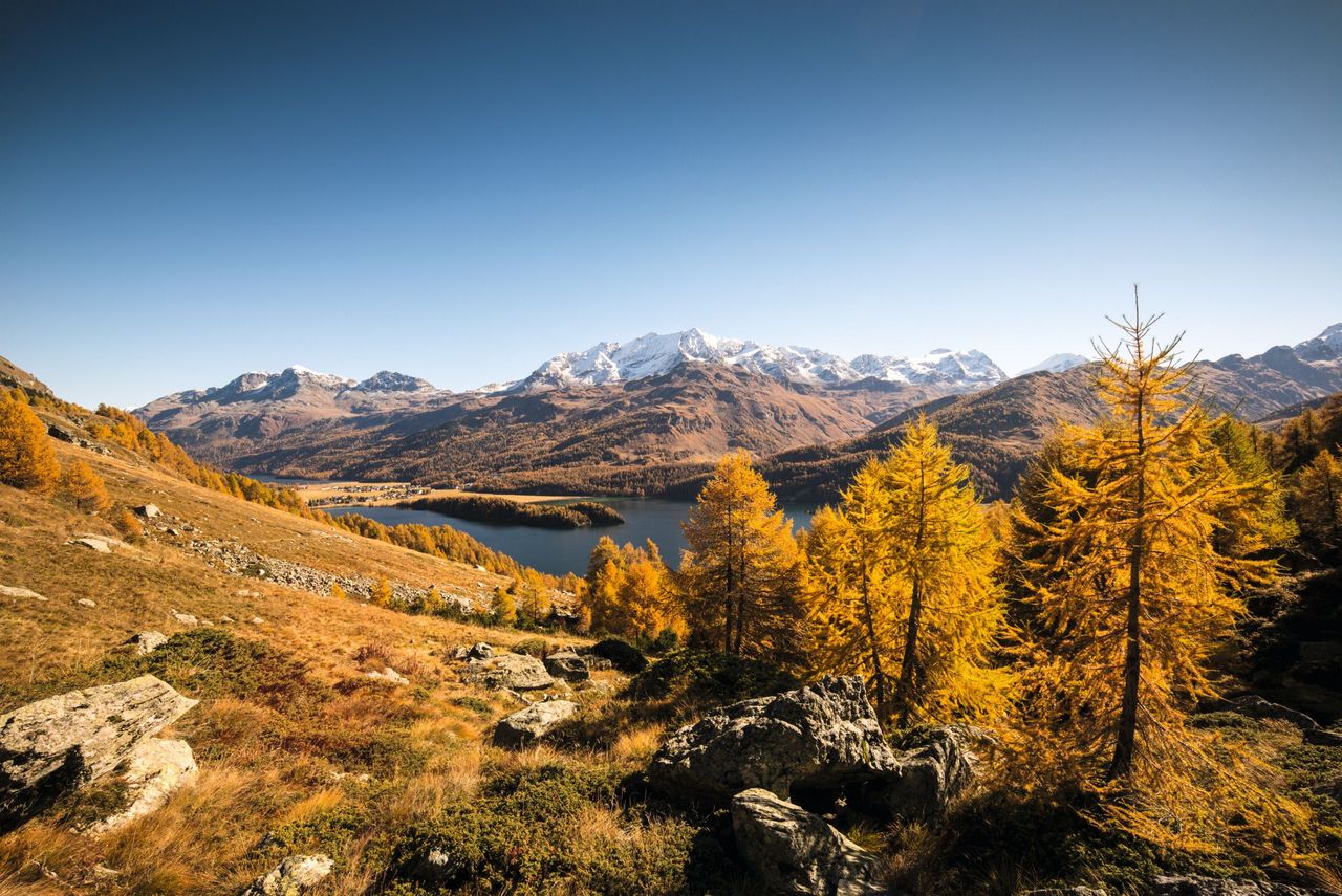 Engadine