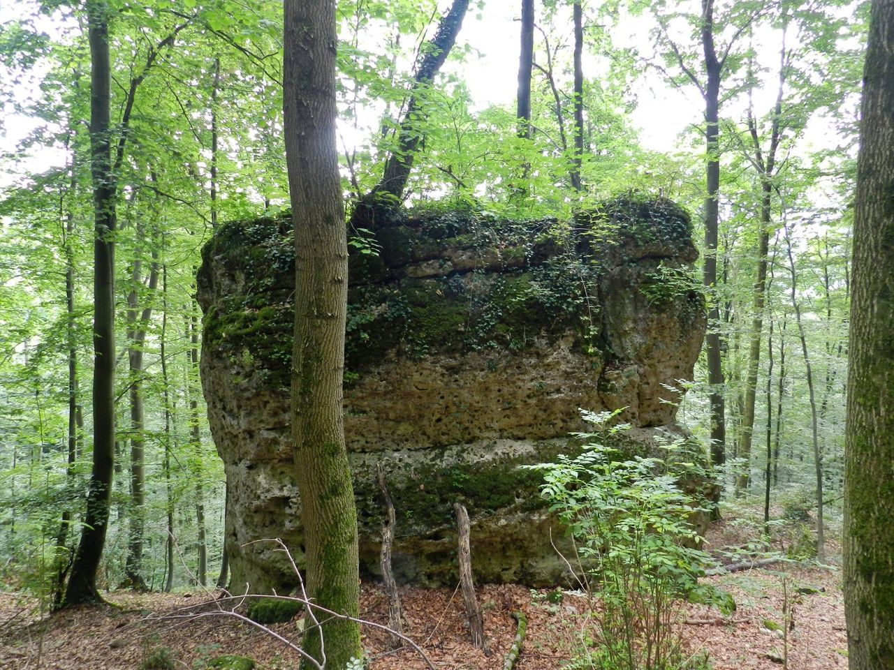 "Perimuk Adventure: From the Big Bang to the Future" Hike Jurapark Aargau