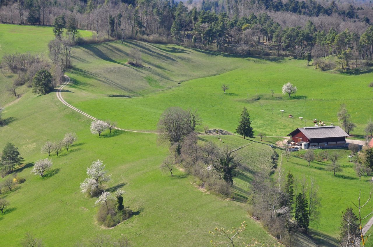 Hike "Time travel: Densbüren then and now"