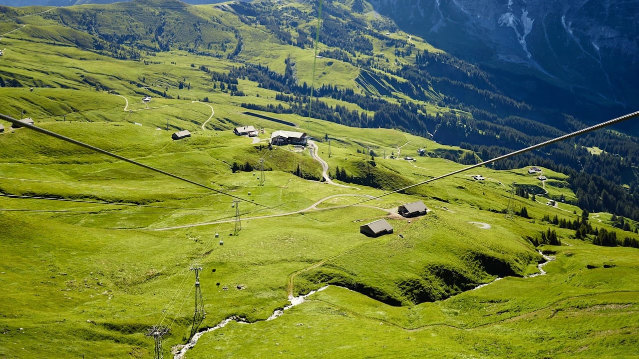 Ticket Firstbahn auf Grindelwald First - Top of Adventure