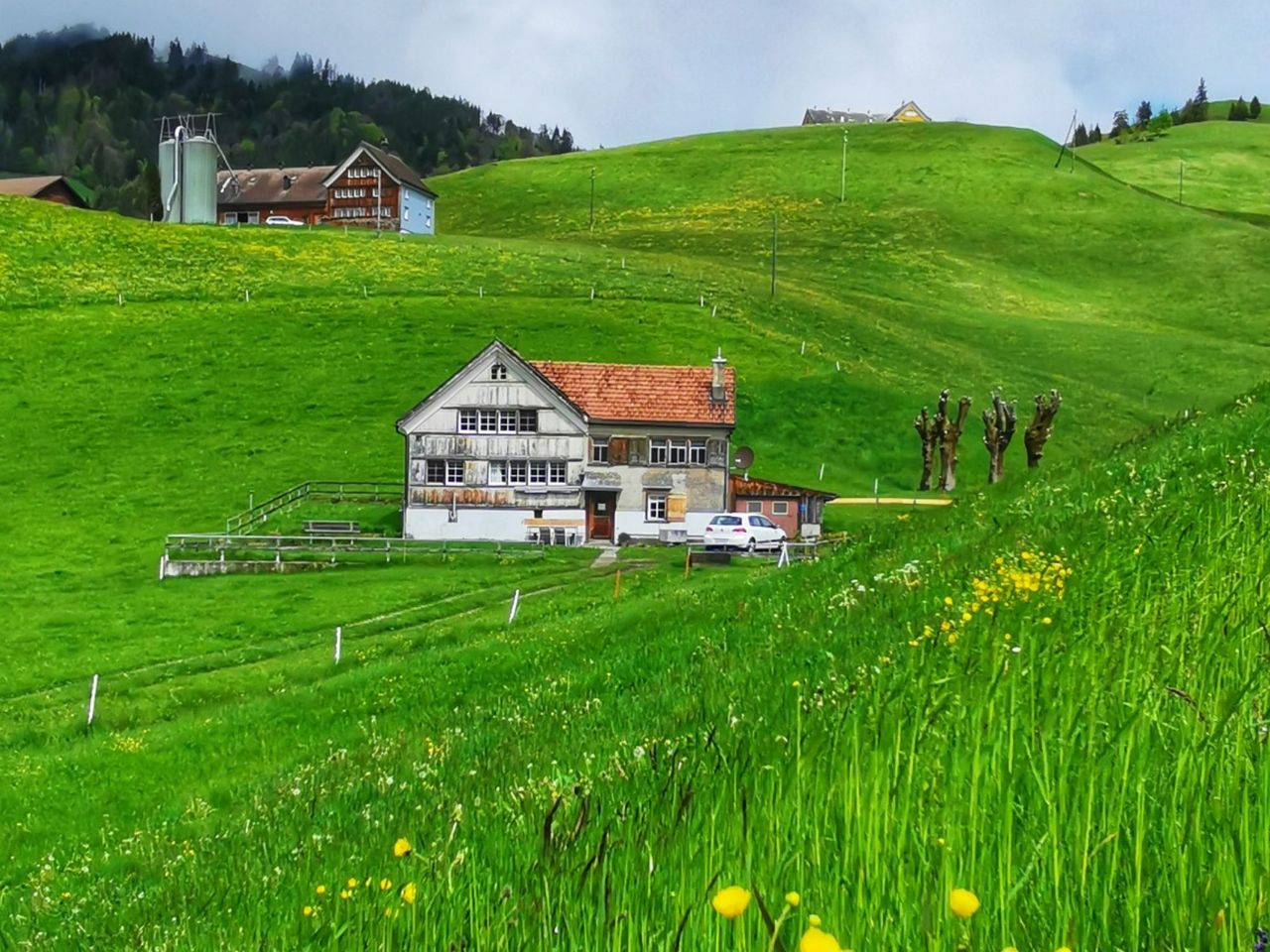 From Zurich: Heidi Swiss Farm Escape luxury day tour