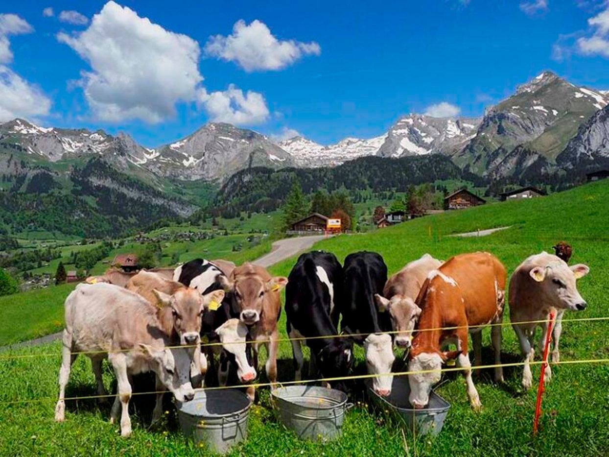 Fotokurs 2.5 Tage im Toggenburg inkl. Übernachtung
