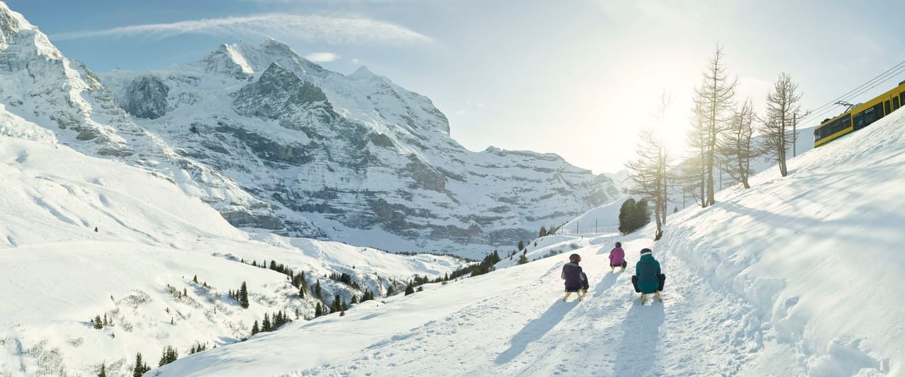 "Fox Run" Kleine Scheidegg Schlittelticket inkl. Bahnticket ab Wengen