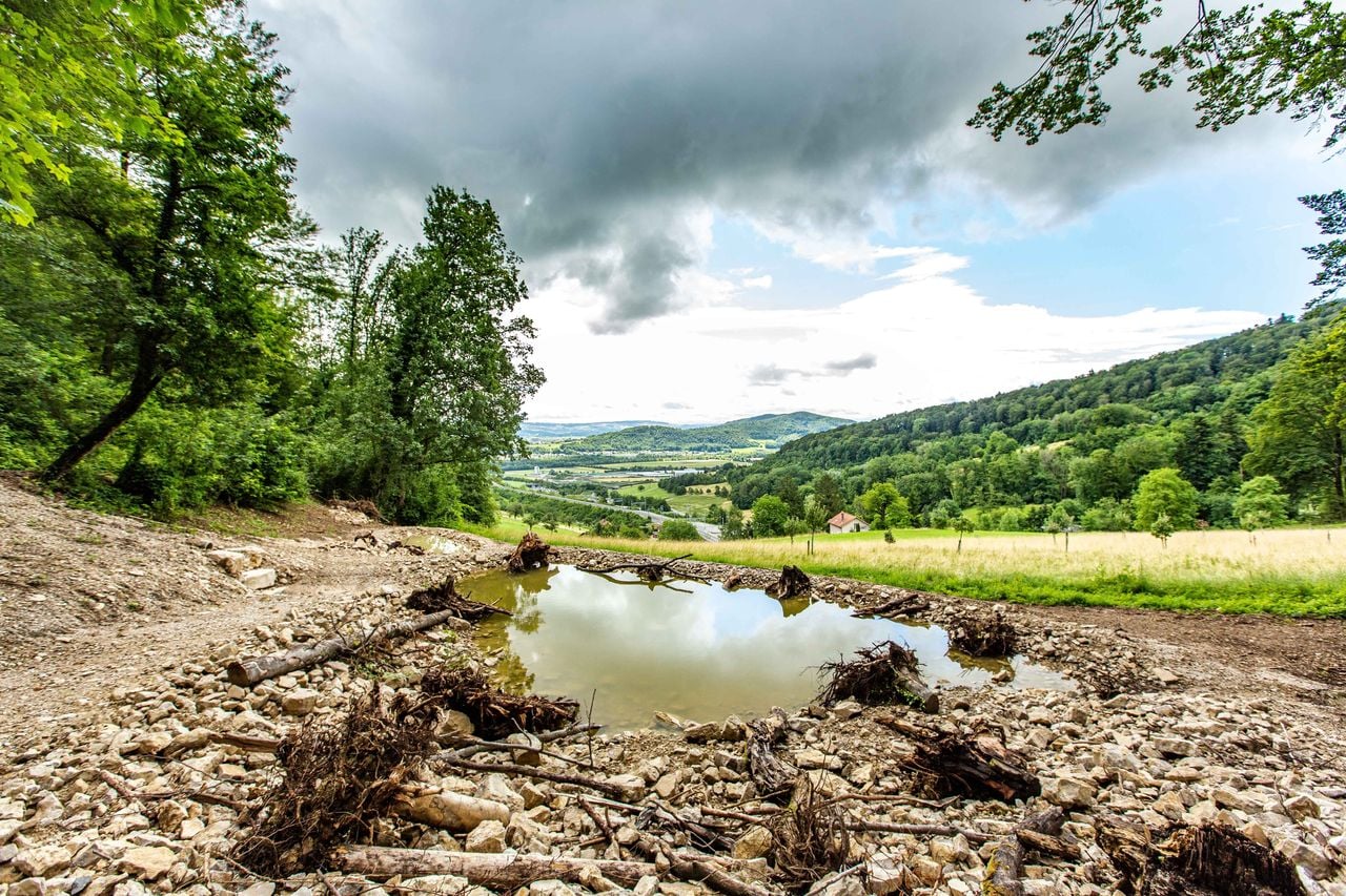 Guided excursion to the Glögglifrosch in the Jurapark Aargau