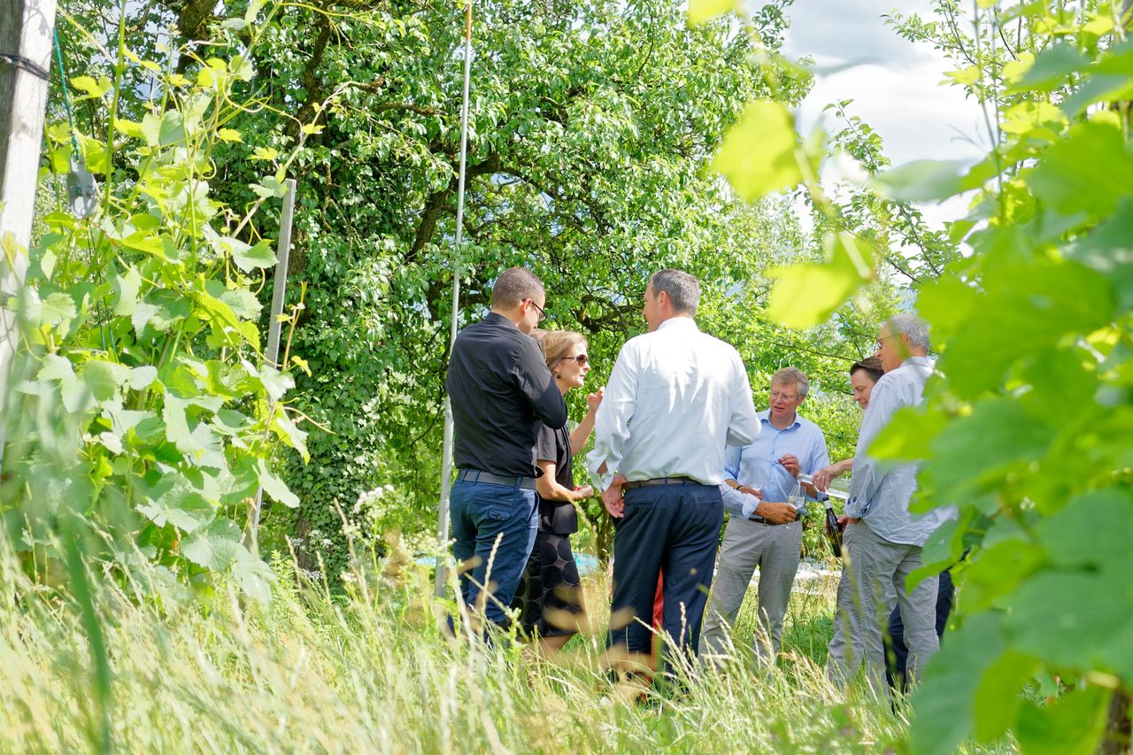 Private Vintage Weintour Bündner Herrschaft ganzer Tag