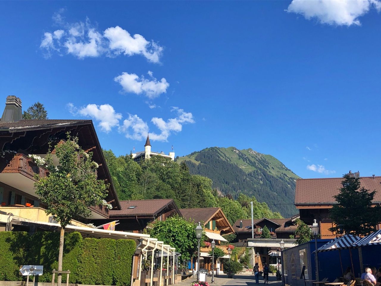From Geneva airport: private transfer to Gstaad