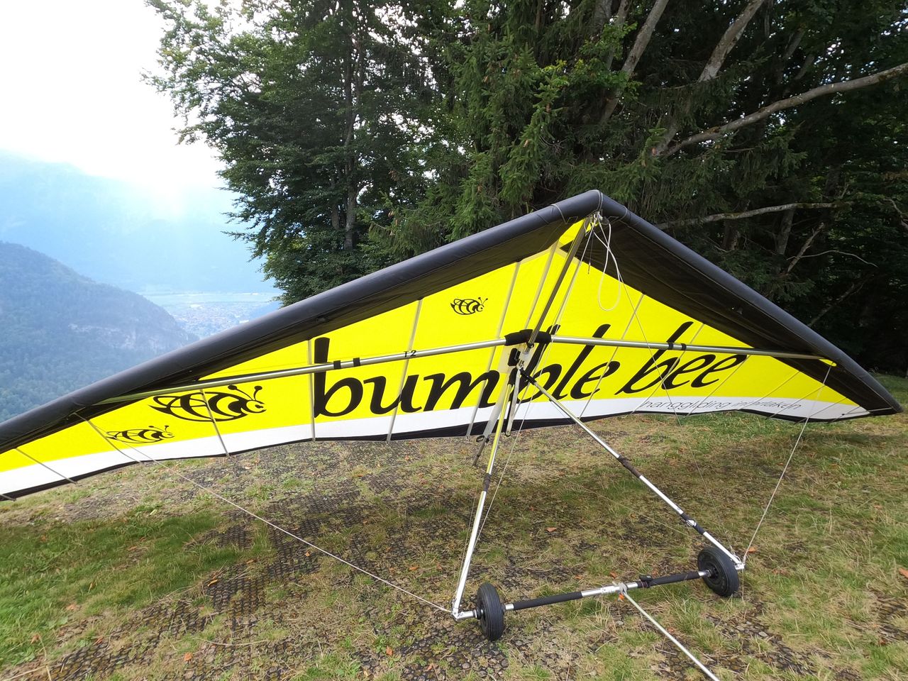 Tandem Delta Flug ab Interlaken