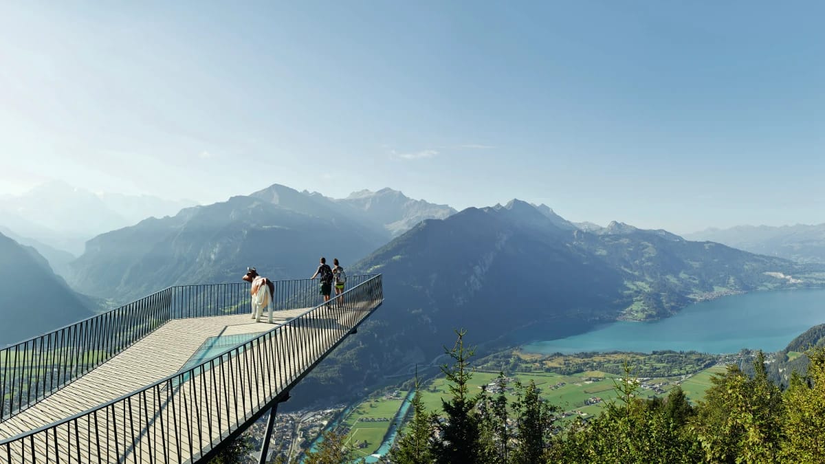 Jungfrau Travel Pass - 3 bis 8 Tage