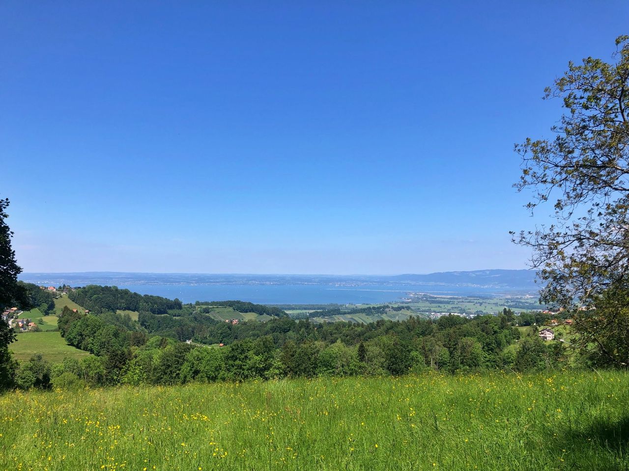 Culinary hike to the quadrilateral