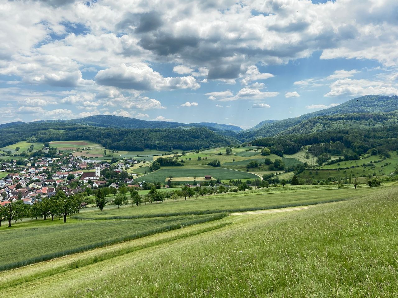 Herznach