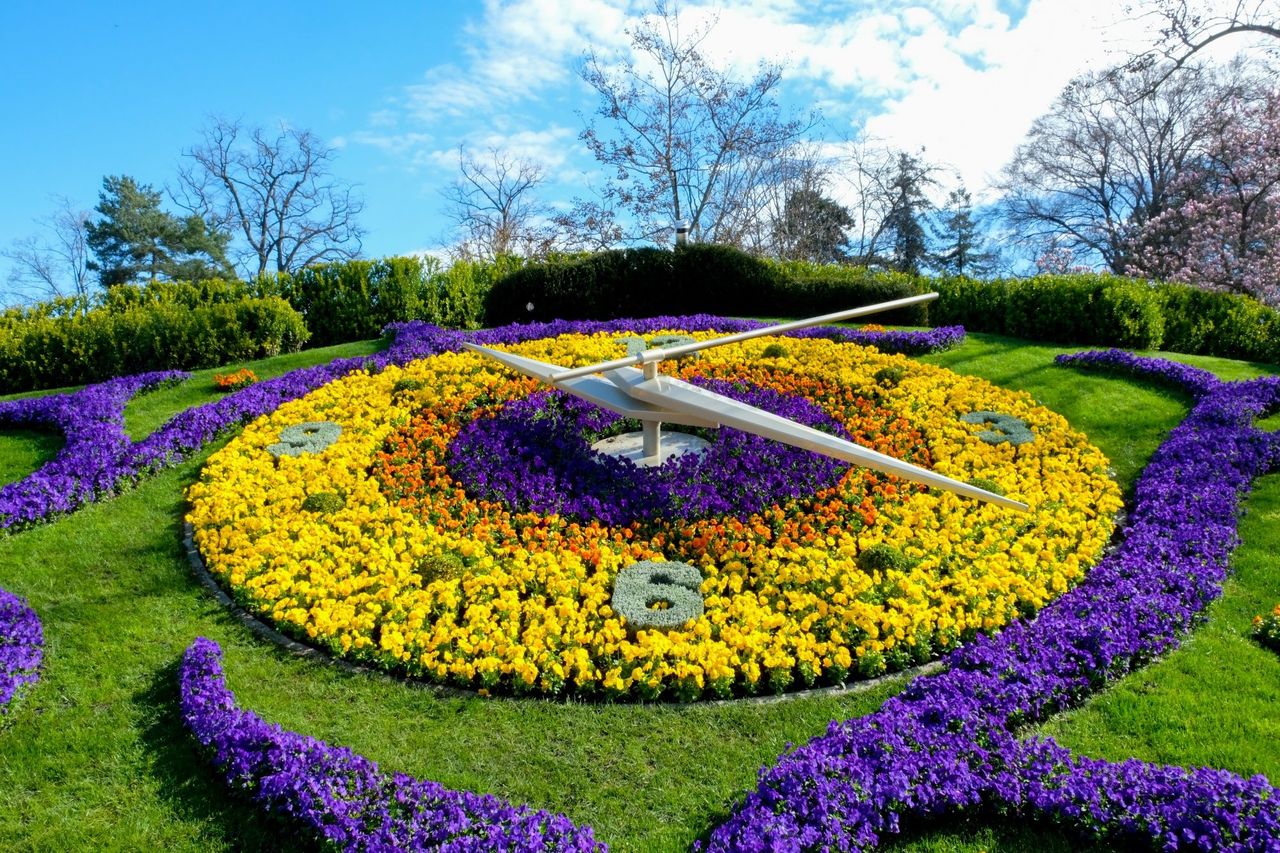 Geneva city tour by bus, mini-train and boat