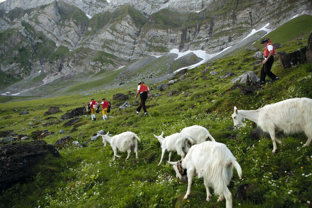 Hundwil
