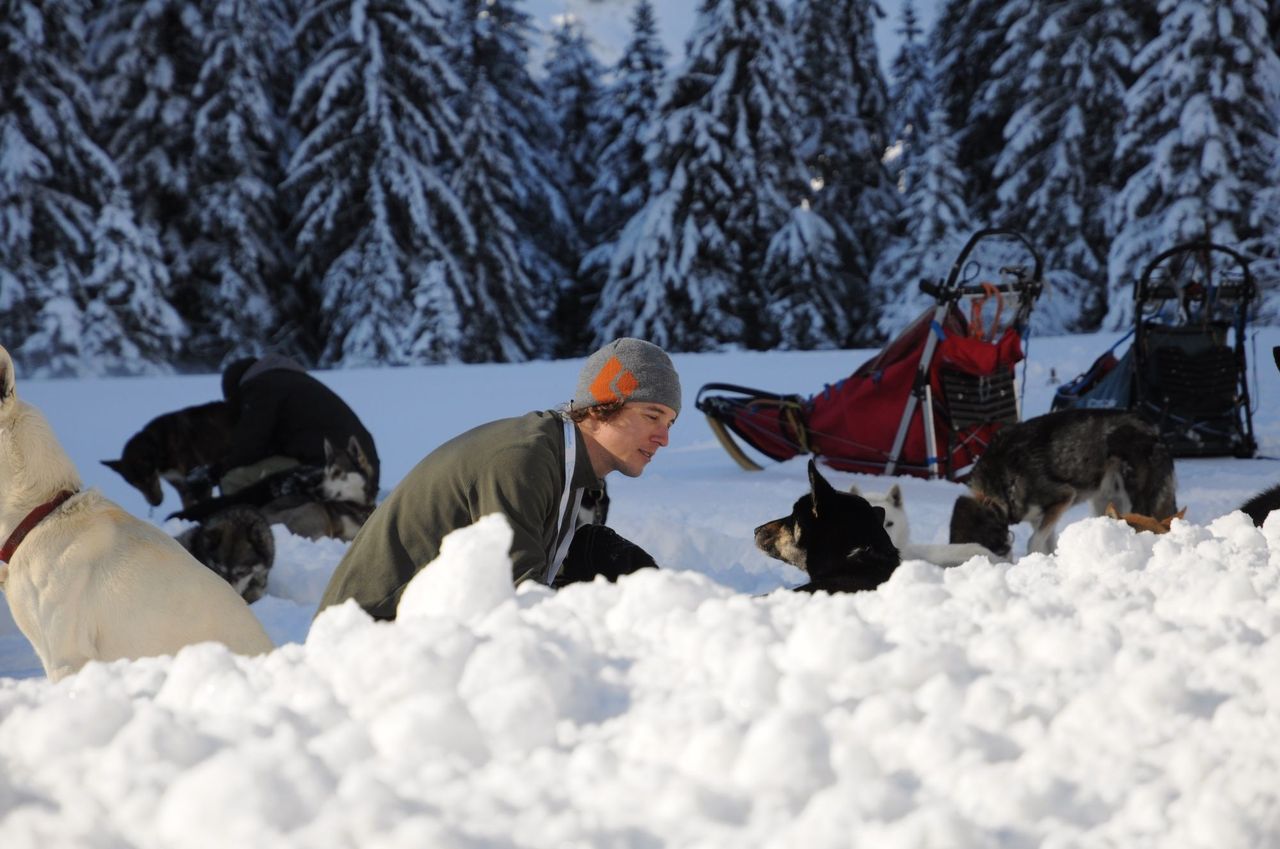 Husky half-day tour in winter