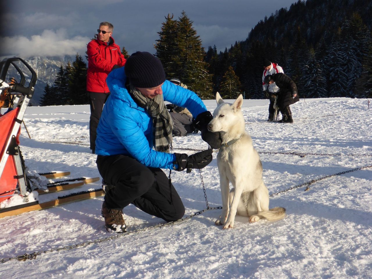 Husky half-day tour in winter