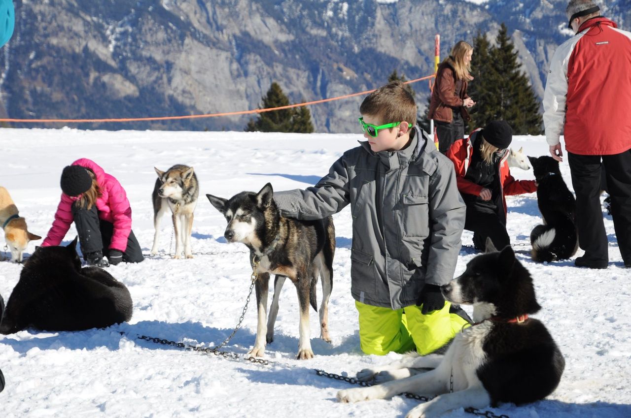 Huskymotion half day in winter