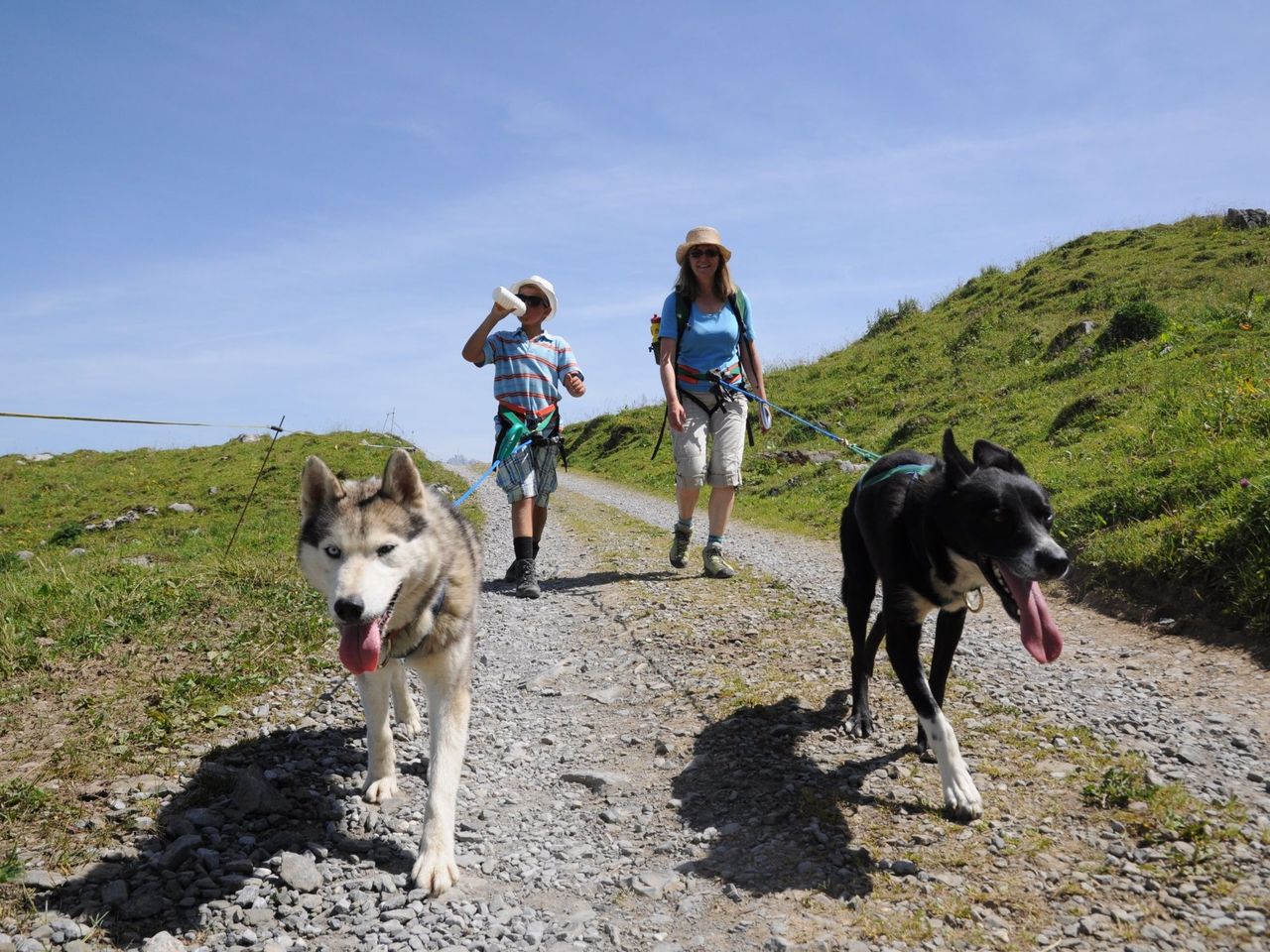Husky trekking day tour