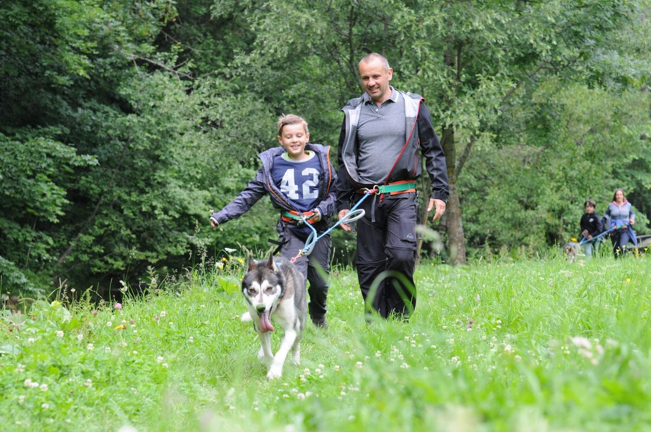 Husky trekking day tour