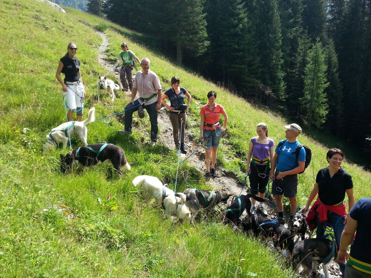3 hours husky trekking "valley circuit"