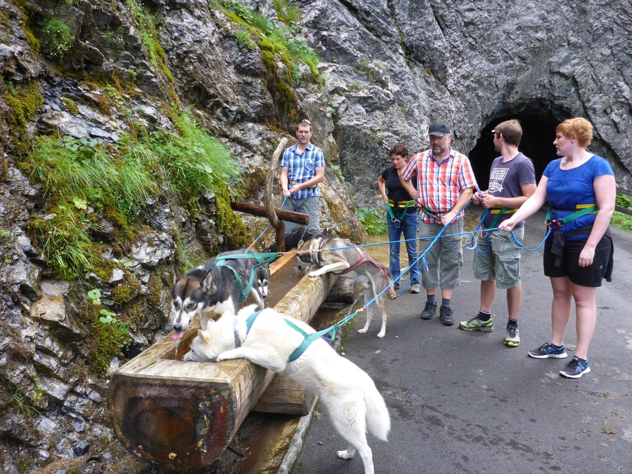 Husky trekking day tour