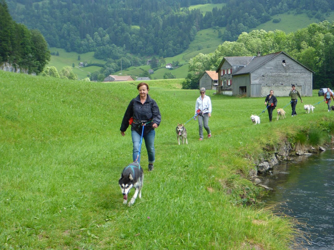 Husky trekking day tour