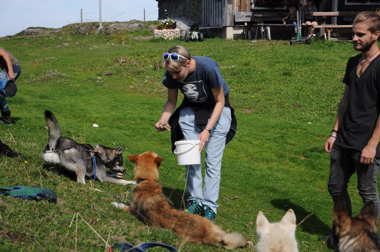3 hours scooter fun with huskys workshop
