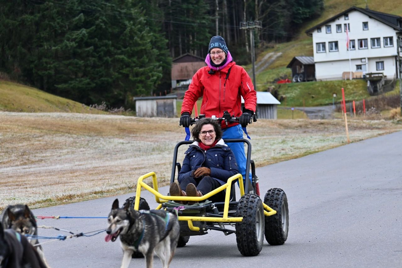 Car training with sled dogs