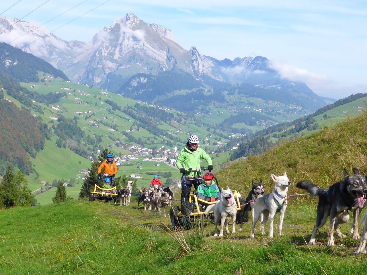 Car training with sled dogs