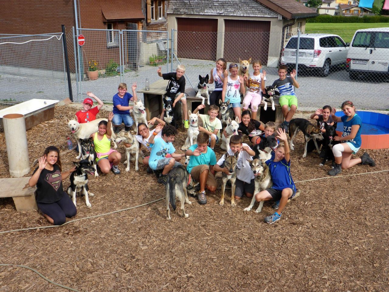 Kennel visit to the huskies