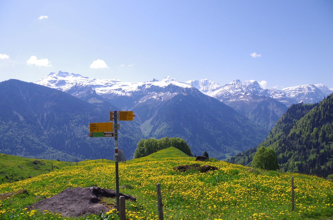 From Zurich: Alphorn Day at Lake Oberblegi