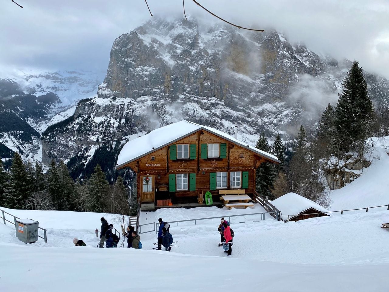 From Zurich: Best of Jungfrau Region Luxury Private Day Tour