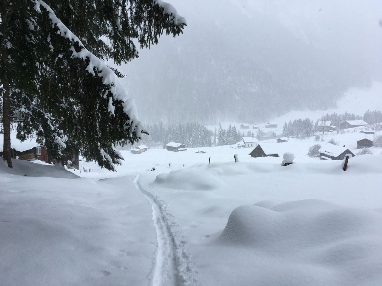 Individuelle, geführte Schneeschuhwanderung in Uri