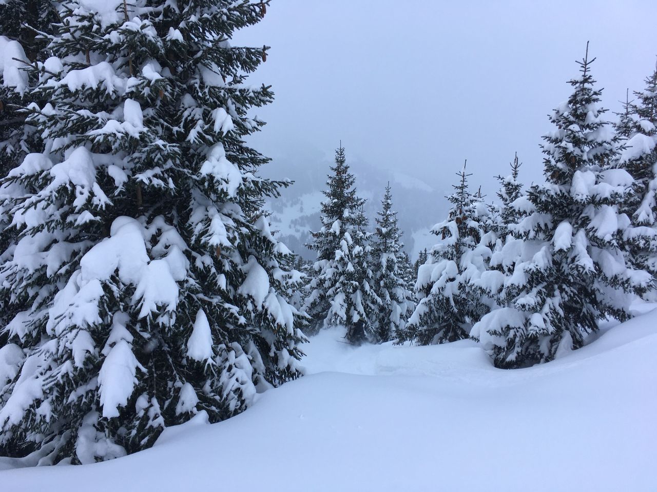 Individuelle, geführte Schneeschuhwanderung in Uri
