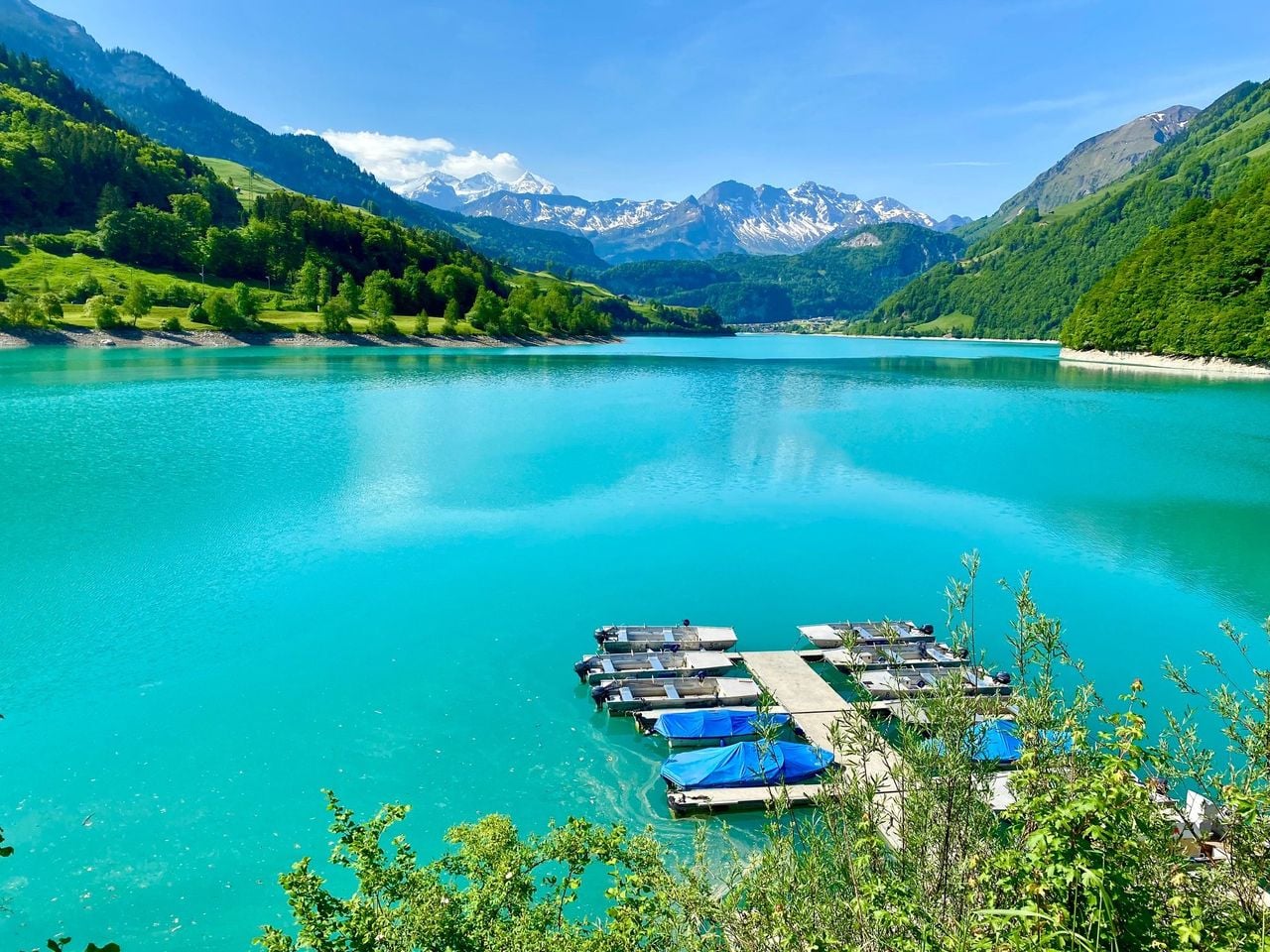 From Zurich: Best of Jungfrau Region Luxury Private Day Tour