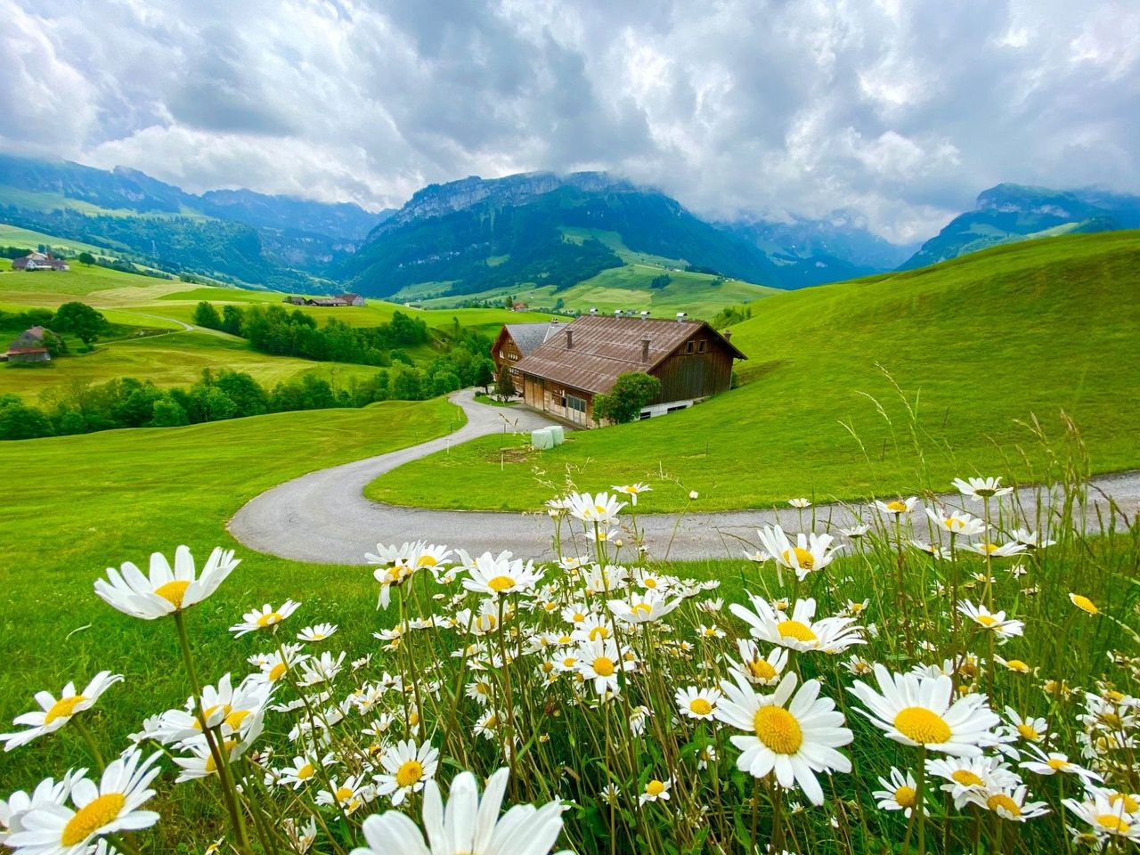 From Zurich: Heidi Swiss Farm Escape luxury day tour