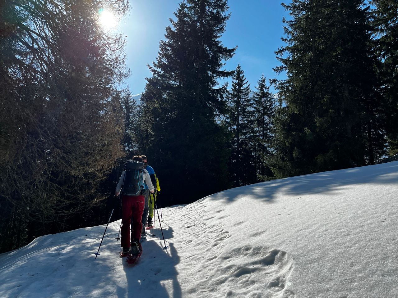 Individuelle, geführte Schneeschuhwanderung in Uri