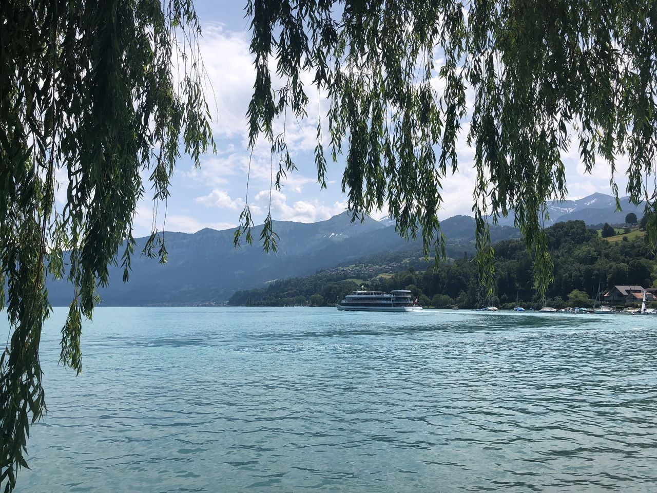 Tageskarte Thunersee und Brienzersee im Sommer