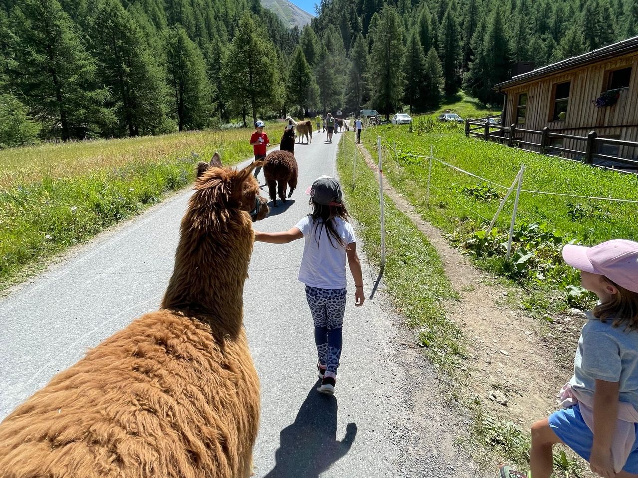 Kids Camp Sommer St. Moritz