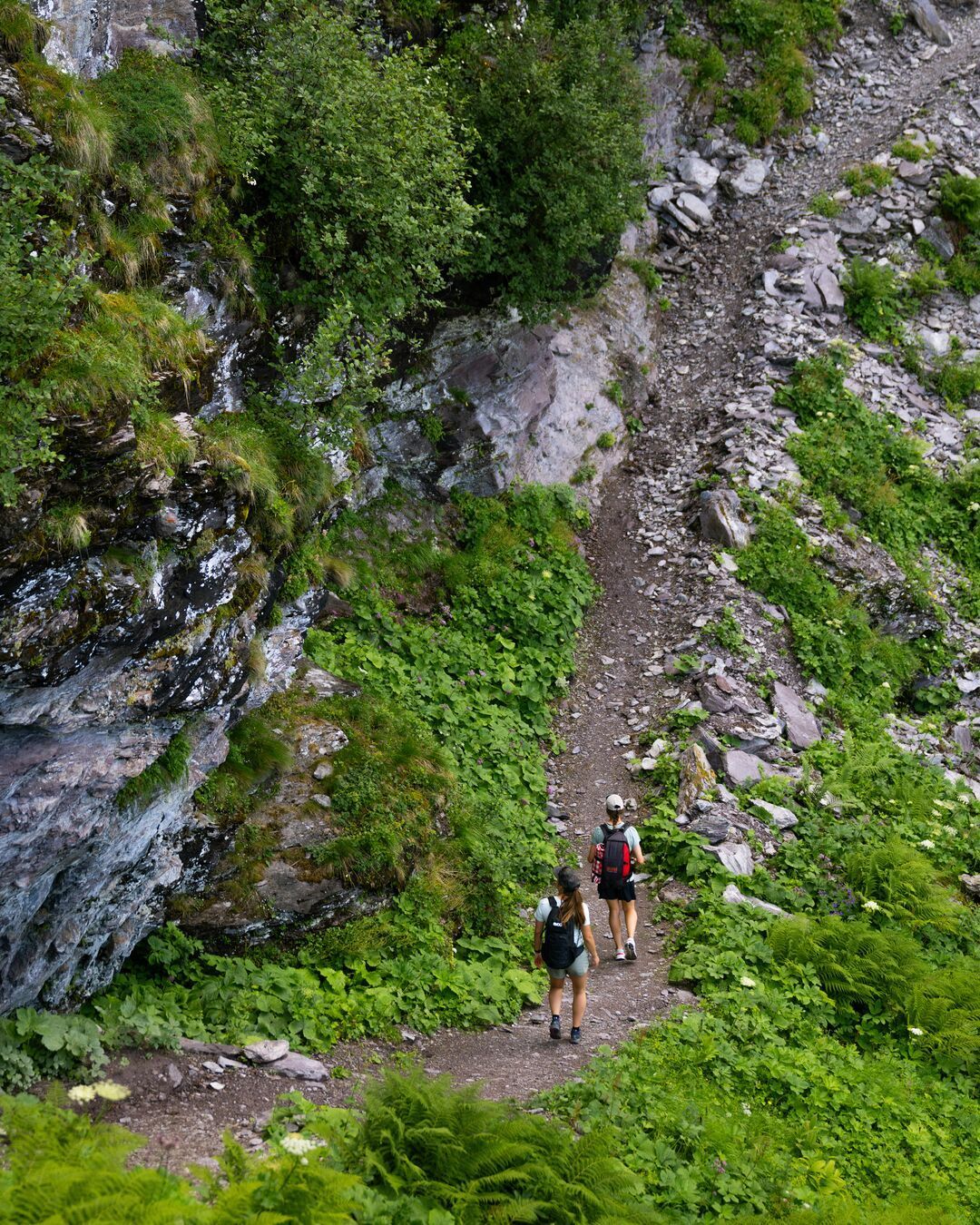 Kulinarik-Wanderung Garmil Höhenwanderung am Pizol