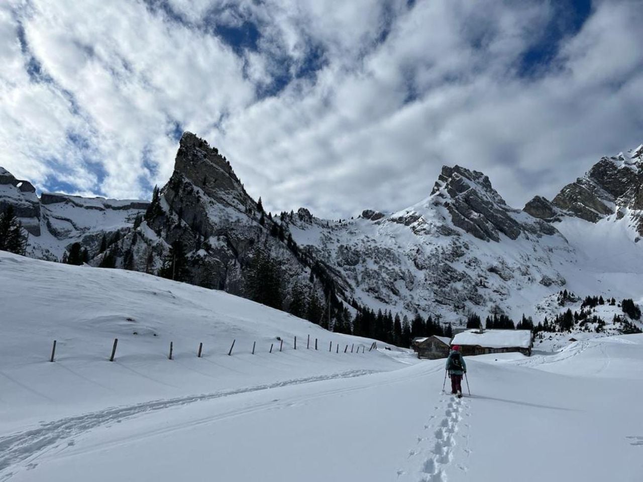 Individuelle, geführte Schneeschuhwanderung in Uri