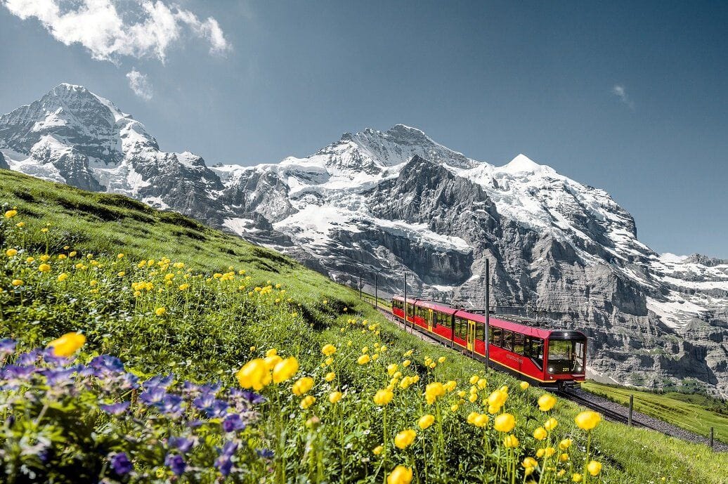 Ab Luzern: Tagestour Jungfraujoch mit Bus und Zahnradbahn