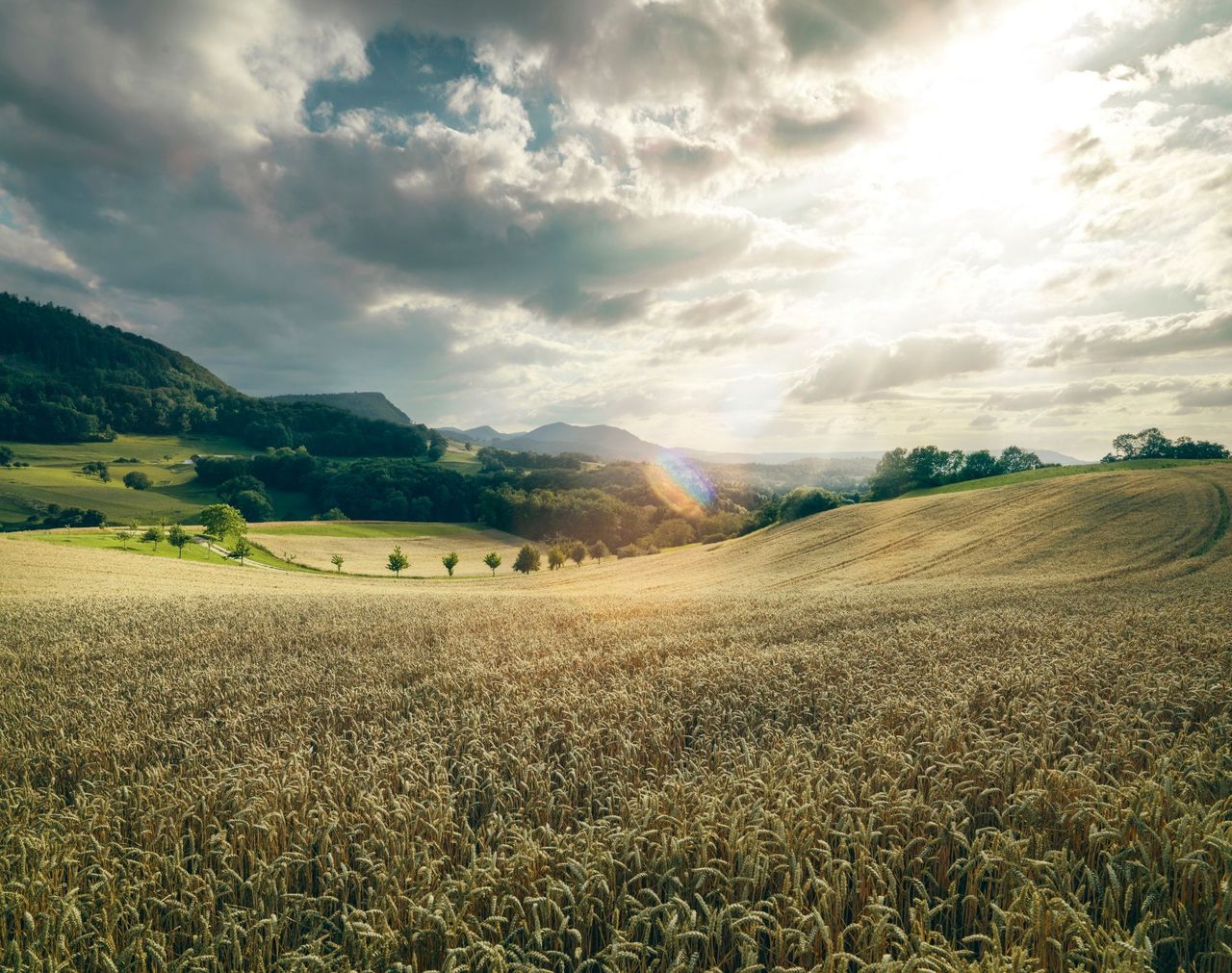 "Perimuk Abenteuer: Wald, Biene Gogo und die vier Elemente" Jurapark Aargau