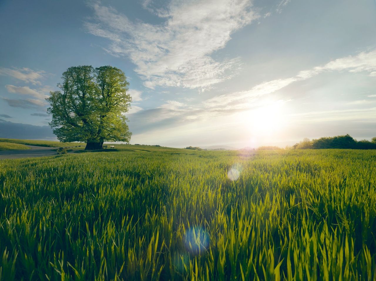 "Perimuk Abenteuer: Wald, Biene Gogo und die vier Elemente" Jurapark Aargau