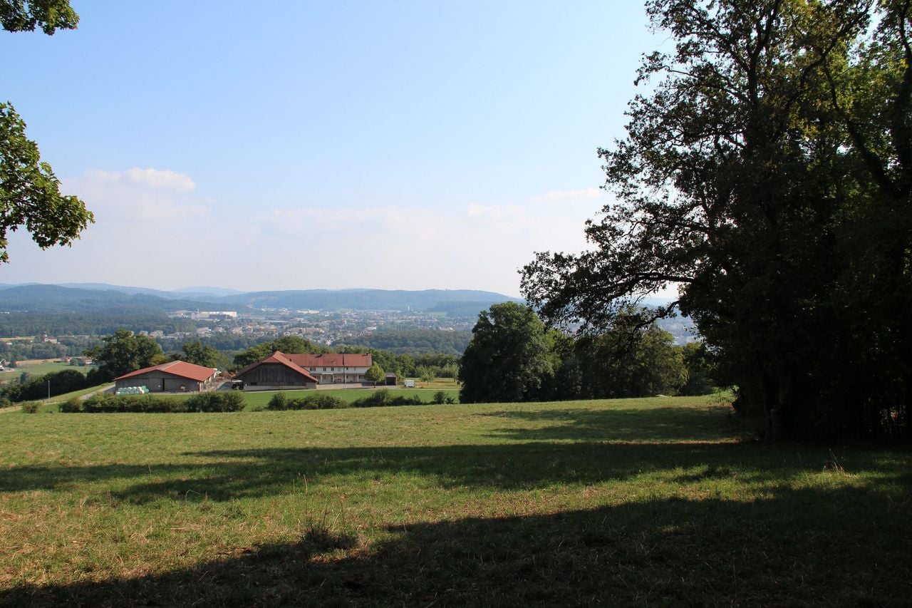 Vollmondwanderung bei Küttigen Jurapark Aargau