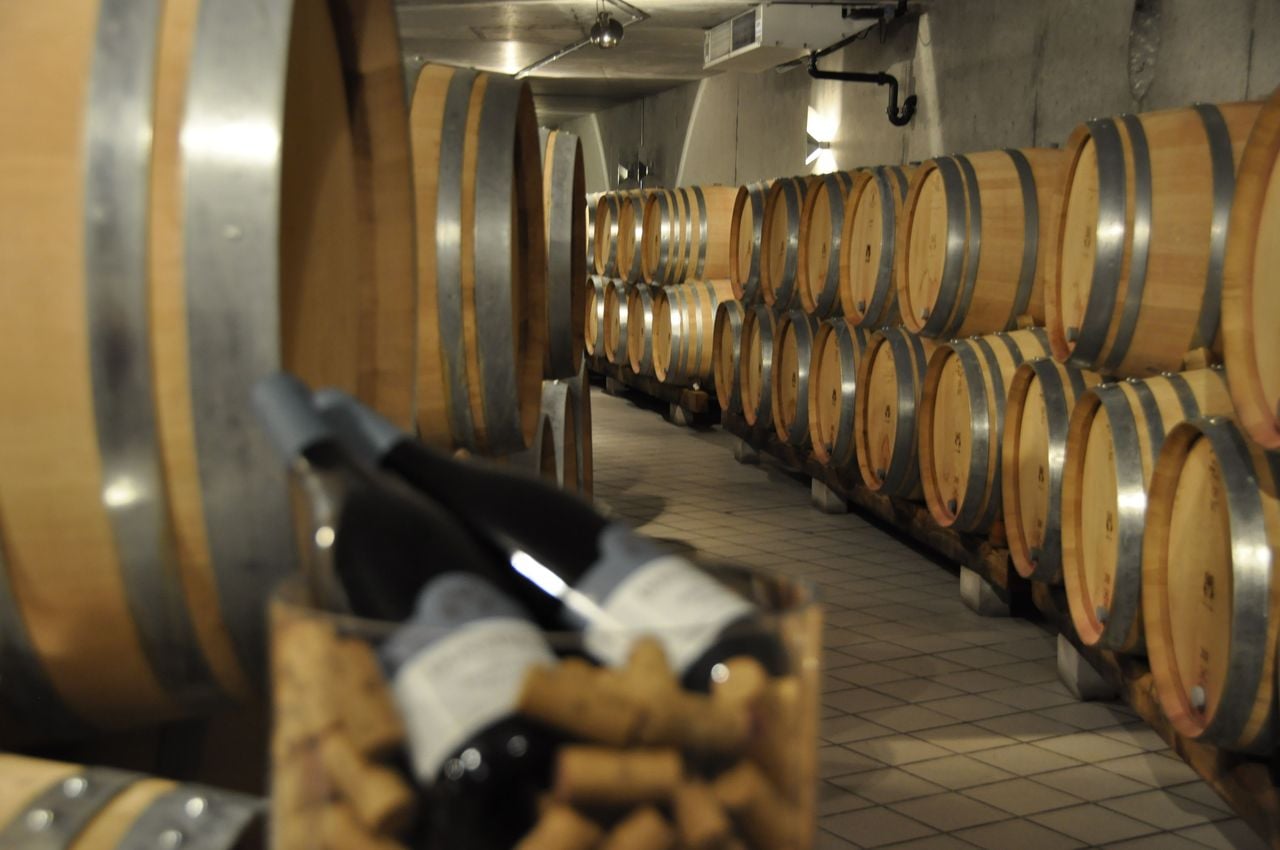 Private Vintage Weintour Bündner Herrschaft ganzer Tag