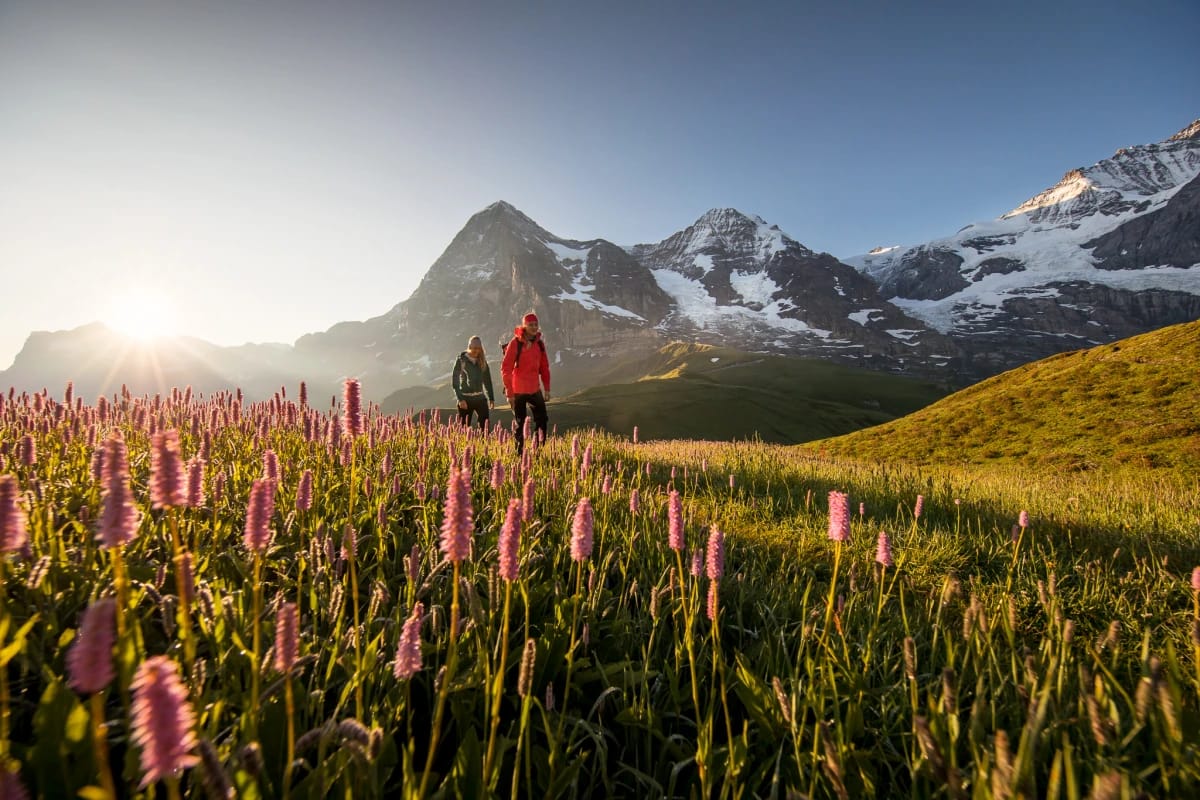 Jungfrau Travel Pass - 3 bis 8 Tage