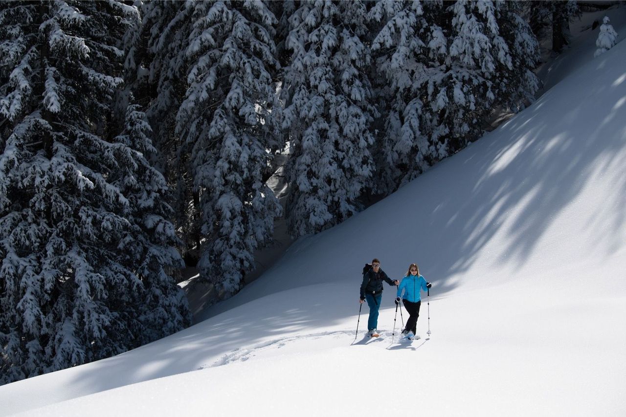 Winterticket Pilatus mit Gondelbahn und Luftseilbahn ab/bis Kriens