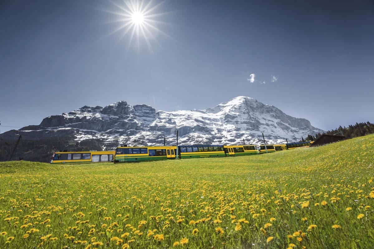 Wanderticket Wengen - Kleine Scheidegg mit der Wengernalpbahn