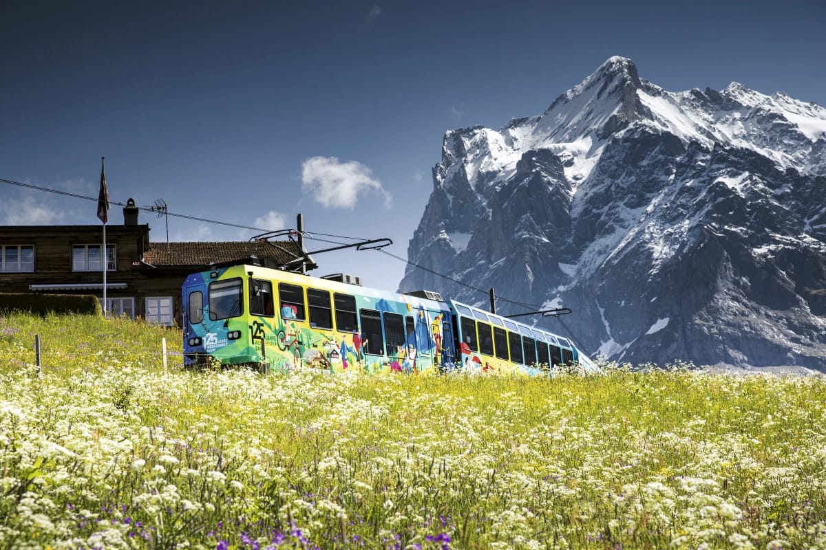 Wanderticket Wengen - Kleine Scheidegg mit der Wengernalpbahn